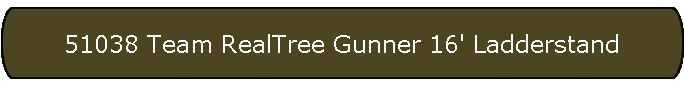 51038 Team RealTree Gunner 16' Ladderstand